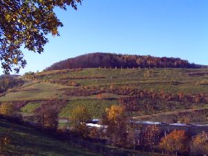 schlema