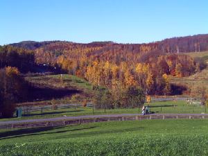 kurpark schlema